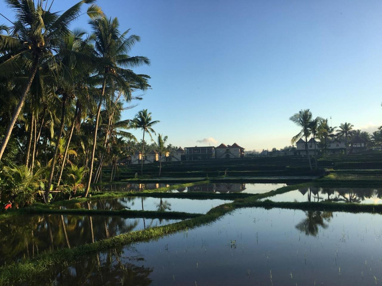 Amaya Cottage Ubud By Shm ภายนอก รูปภาพ