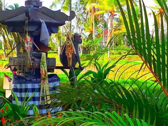 Amaya Cottage Ubud By Shm ภายนอก รูปภาพ