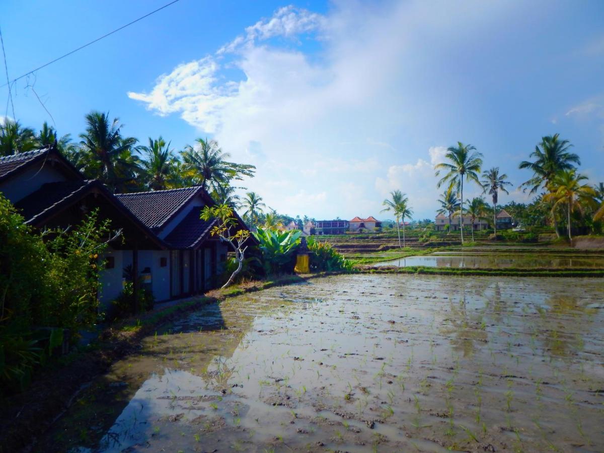 Amaya Cottage Ubud By Shm ภายนอก รูปภาพ